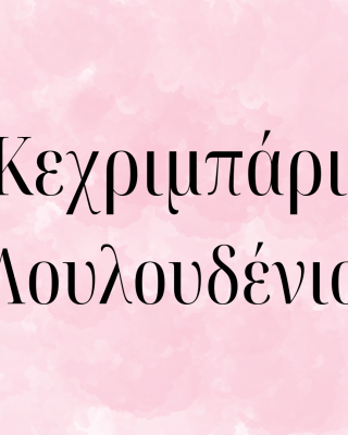 SALIMER FILTER DEPARFUM  F245