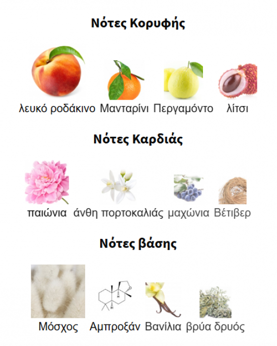 MYSTIQUE BOUQUET BY AFNAN 100ML