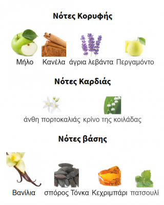 9 pm BY AFNAN 100ML για άνδρες