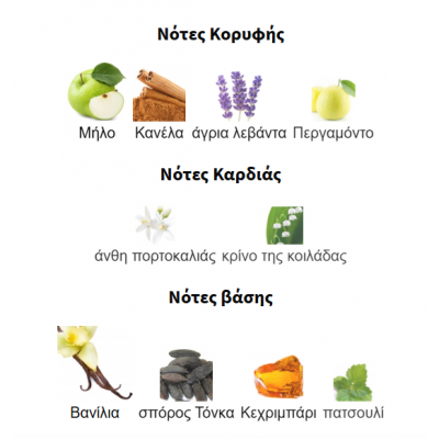 9 pm BY AFNAN 100ML για άνδρες 9 pm BY AFNAN 100ML για άνδρες