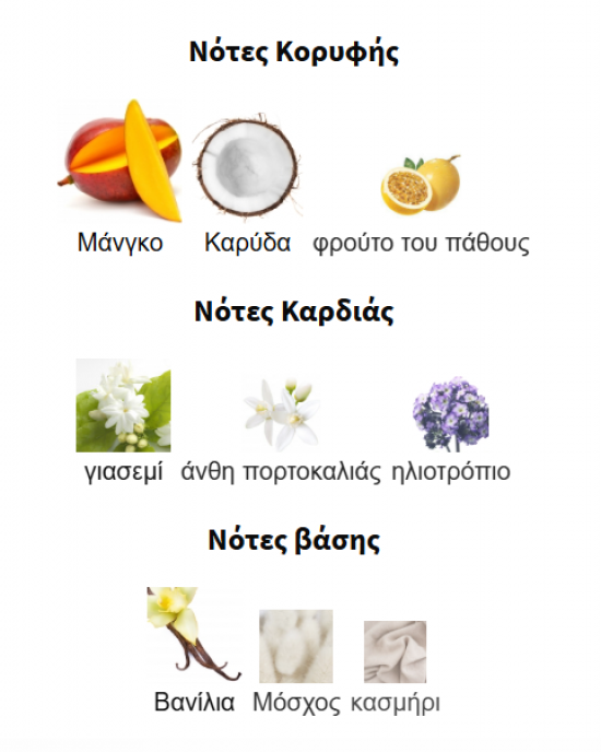 YARA TOUS LATTAFA PERFUMES 35ML