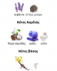 ASAD ZANZIBAR LATTAFA PERFUMES 35ML για άνδρες