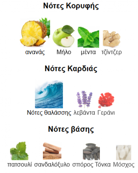 NAJDIA INTENSE LATTAFA PERFUMES 100ML για άνδρες