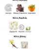 QISSA DELICIOUS PARIS CORNER 100ML για γυναίκες