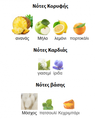 URBANIST FEMME EAU DE PARFUM AL HARAMEIN PERFUMES 100ml για γυναικες