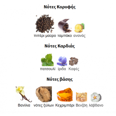 SALVO ELIXIR  BY MAISON ALHAMBRA 60ML για άνδρες SALVO ELIXIR  BY MAISON ALHAMBRA 60ML για άνδρες