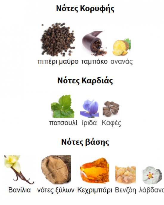 SALVO ELIXIR  BY MAISON ALHAMBRA 60ML για άνδρες