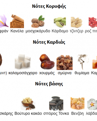 COCOA MORADO BY FRENCH AVENUE PERFUMES 100ML