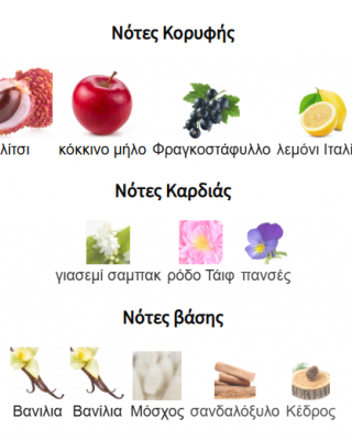 KHAIR FUSION PARIS CORNER CONCENTRADE OIL 25ml UNISEX 