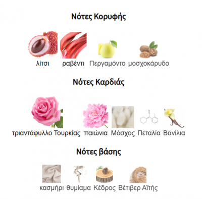 EMIR ELANIA PARIS CORNER 100ML για γυναίκες EMIR ELANIA PARIS CORNER 100ML για γυναίκες