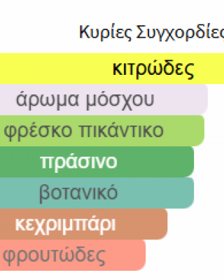 PINNACE BY FRENCH AVENUE PERFUMES 100ML