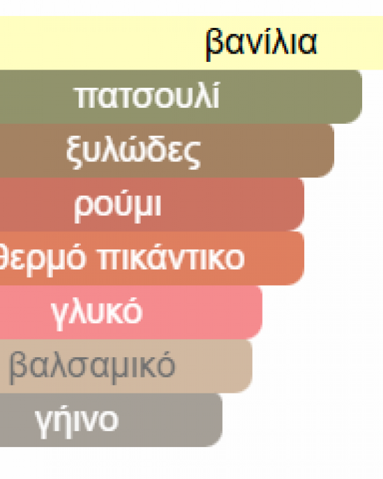 X XANDAL AROMATIX X FRENCH AVENUE 100ml unisex