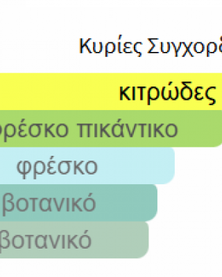 QISSA BLUE PARIS CORNER 100ML unisex