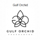 GULF ORCHID