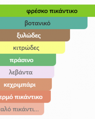 NOCTURNO RAYHAAN 100ML ανδρικό