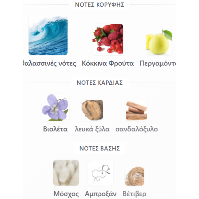 CLUB DE NUIT MILESTONE EAU DE PARFUM ARMAF 105ML unisex