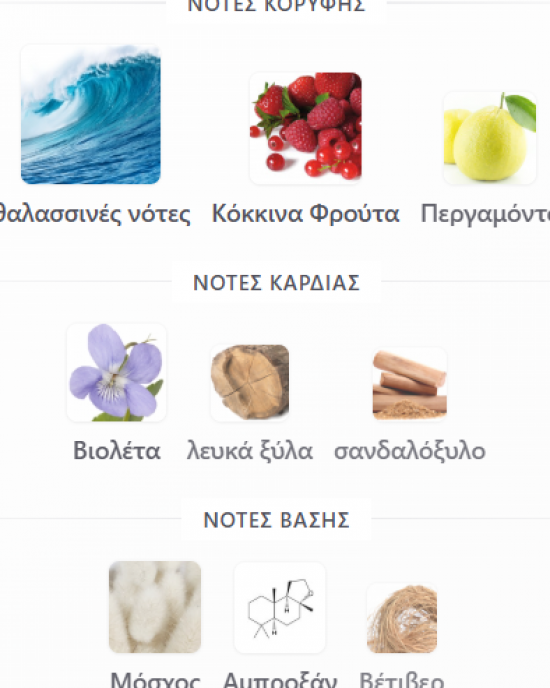 CLUB DE NUIT MILESTONE EAU DE PARFUM ARMAF 105ML unisex