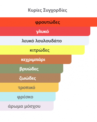 SUPERMACY COLLECTOR'S BY AFNAN 100ML για άνδρες