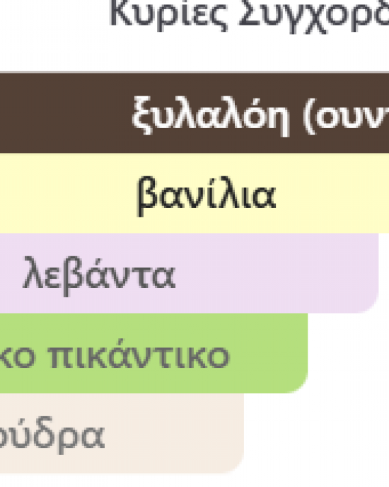 YOUR TOUCH OUD MAISON ALHAMBRA 100ML ανδρικό