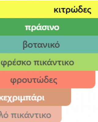 PACIFIC AURA RAYHAAN 100ML ανδρικό