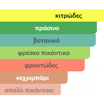 PACIFIC AURA RAYHAAN 100ML ανδρικό