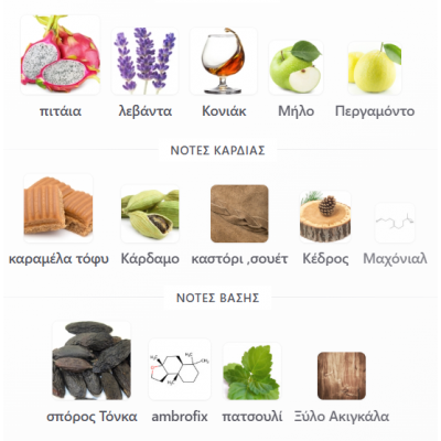 9 pm NIGHT OUT BY AFNAN 100ML unisex ανδρικό