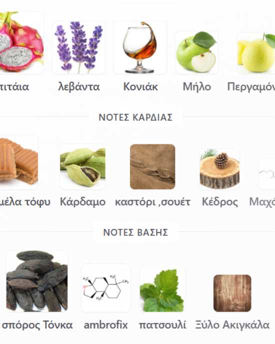 9 pm NIGHT OUT BY AFNAN 100ML unisex ανδρικό