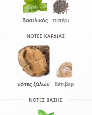 BOIS DE BOIS by FRAGRANCE WORLD 100ml για άνδρες