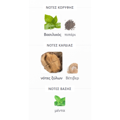 BOIS DE BOIS by FRAGRANCE WORLD 100ml για άνδρες