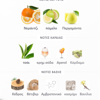 SUN KISSED AROMATIX X FRENCH AVENUE 100ml unisex