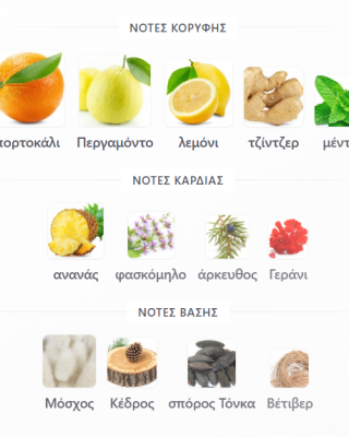 ODYSSEY MEGA MAN 100ML ARMAF