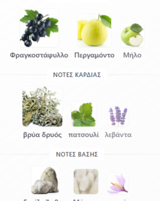 SUPERMACY NOT ONLY INTENSE BY AFNAN 100ML για άνδρες