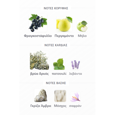SUPERMACY NOT ONLY INTENSE BY AFNAN 100ML για άνδρες