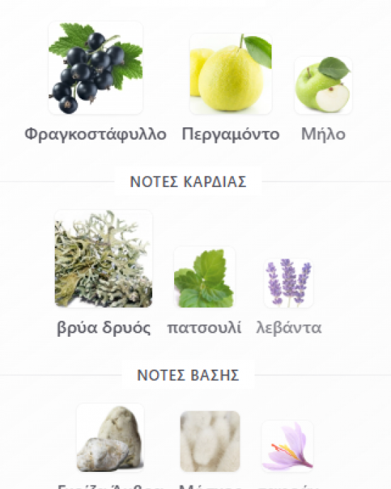 SUPERMACY NOT ONLY INTENSE BY AFNAN 100ML για άνδρες