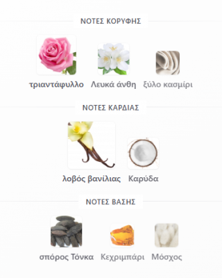 FLEURIE VIOLETTE RIFFS PERFUMES 100ML για γυναίκες