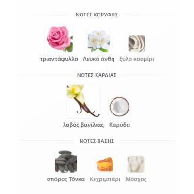 FLEURIE VIOLETTE RIFFS PERFUMES 100ML για γυναίκες FLEURIE VIOLETTE RIFFS PERFUMES 100ML για γυναίκες