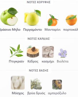 MIDORI FRAGRANCE WORLD UNISEX 100ML