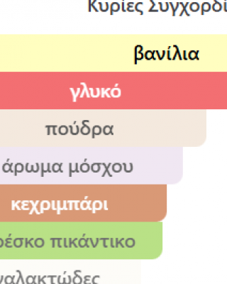 DULZURA PARIS CORNER 100ML WOMAN