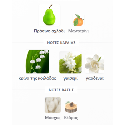 LAYAAN LATTAFA PERFUMES 100ML