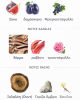 ART OF NATURE I LATTAFA PERFUMES unisex