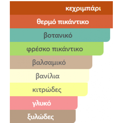 TERRA RAYHAAN 100ML ανδρικό