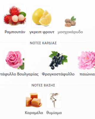 SAMAH PEARL RIFFS PERFUMES 100ML γυναικείο
