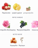 SAMAH PEARL RIFFS PERFUMES 100ML γυναικείο