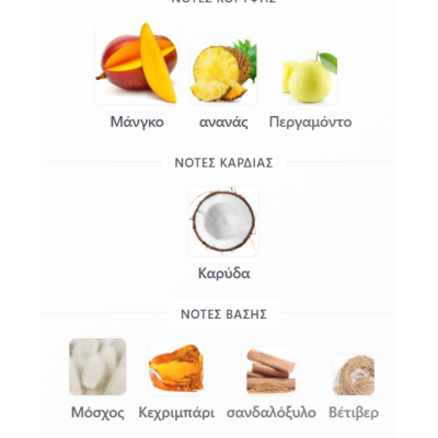 TROPICAL VIBE RAYHAAN 100ML ανδρικό TROPICAL VIBE RAYHAAN 100ML ανδρικό
