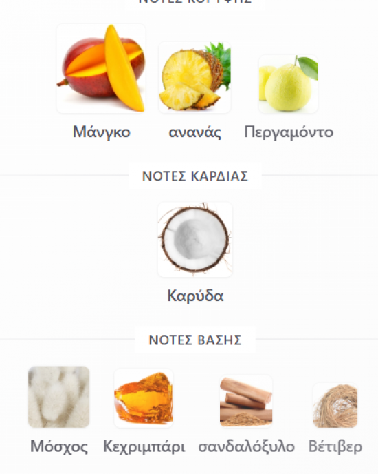 TROPICAL VIBE RAYHAAN 100ML ανδρικό