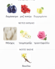 NARISSA ROSE MUSC MAISON ALHAMBRA 100ML γυναικείο NARISSA ROSE MUSC MAISON ALHAMBRA 100ML γυναικείο