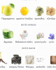 KHAMRAH WAHA LATTAFA PERFUMES 100ML KHAMRAH WAHA LATTAFA PERFUMES 100ML