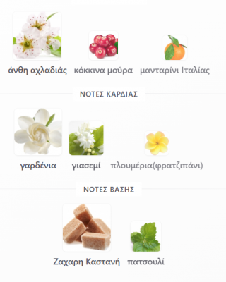 FLORIANA RAYHAAN PERFUMES 100ML