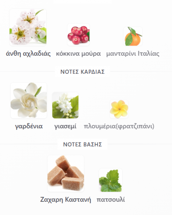 FLORIANA RAYHAAN PERFUMES 100ML FLORIANA RAYHAAN PERFUMES 100ML