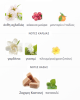 FLORIANA RAYHAAN PERFUMES 100ML FLORIANA RAYHAAN PERFUMES 100ML